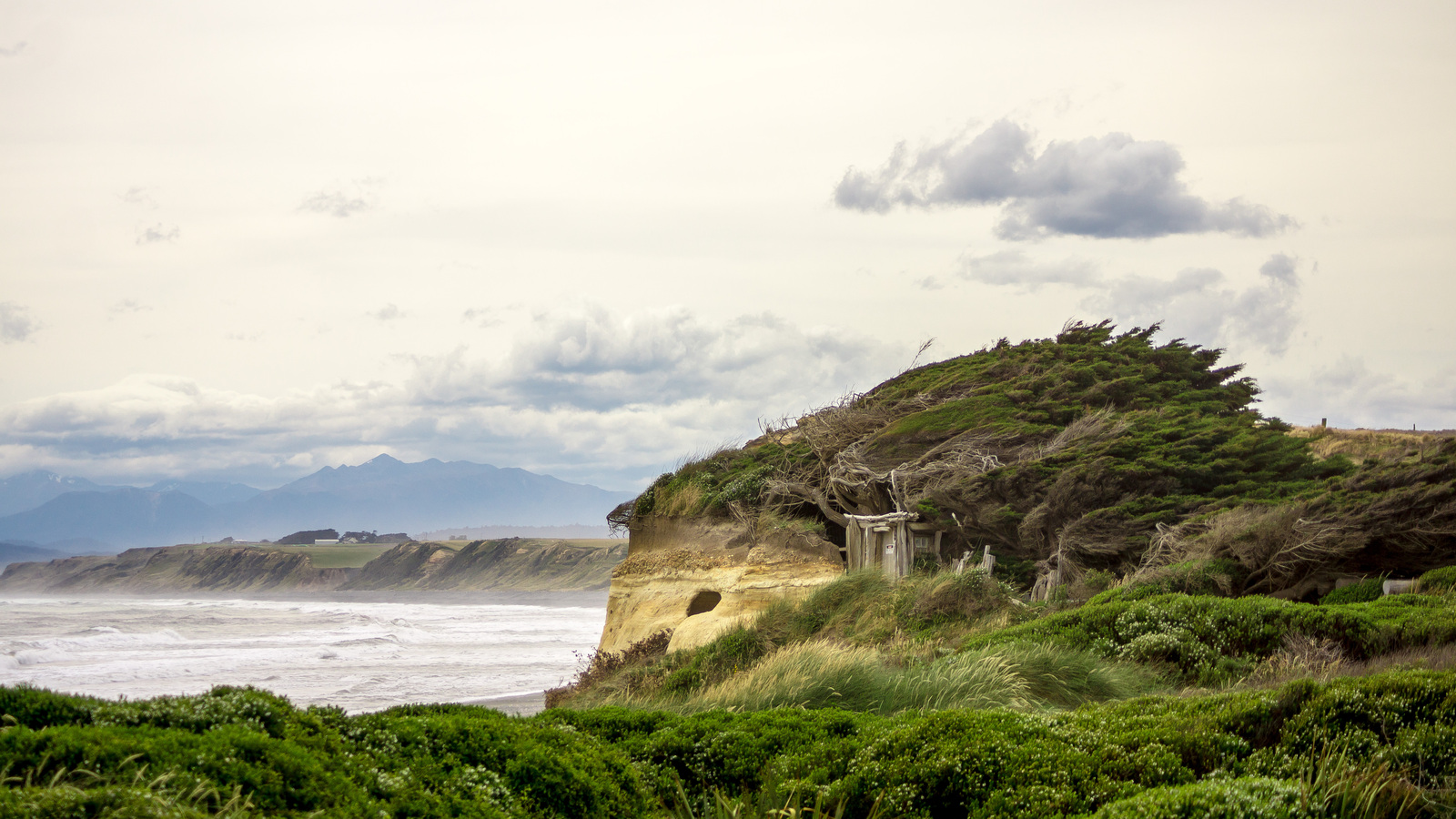 Windy - My, Photo, New Zealand, Nature