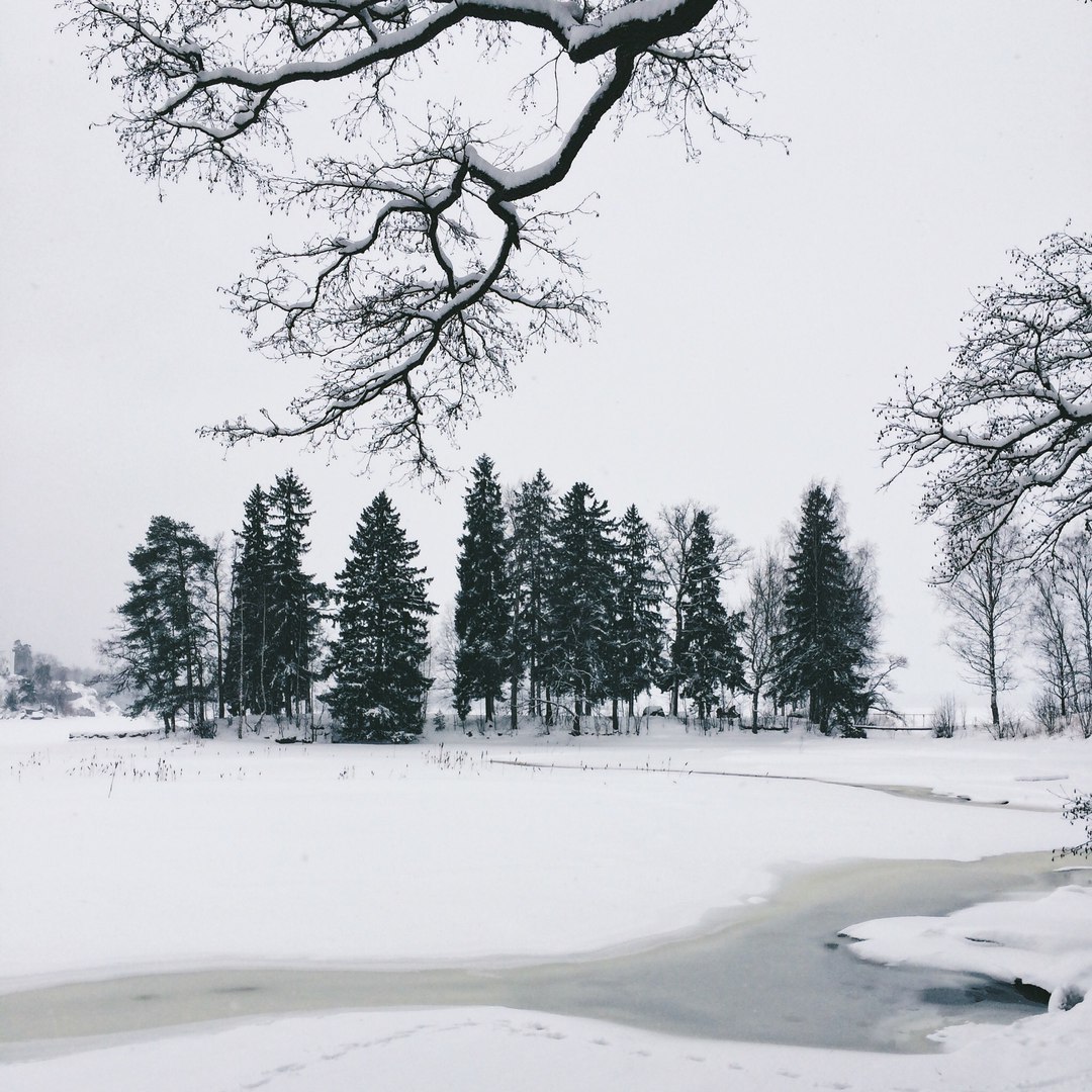 Snow-covered landscapes of Monrepos park - My, Photo, The photo, Nature, Winter, Snow, Russia, Longpost