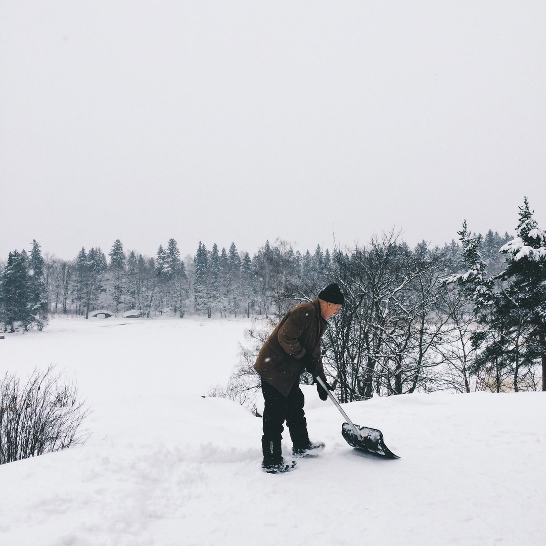 Snow-covered landscapes of Monrepos park - My, Photo, The photo, Nature, Winter, Snow, Russia, Longpost