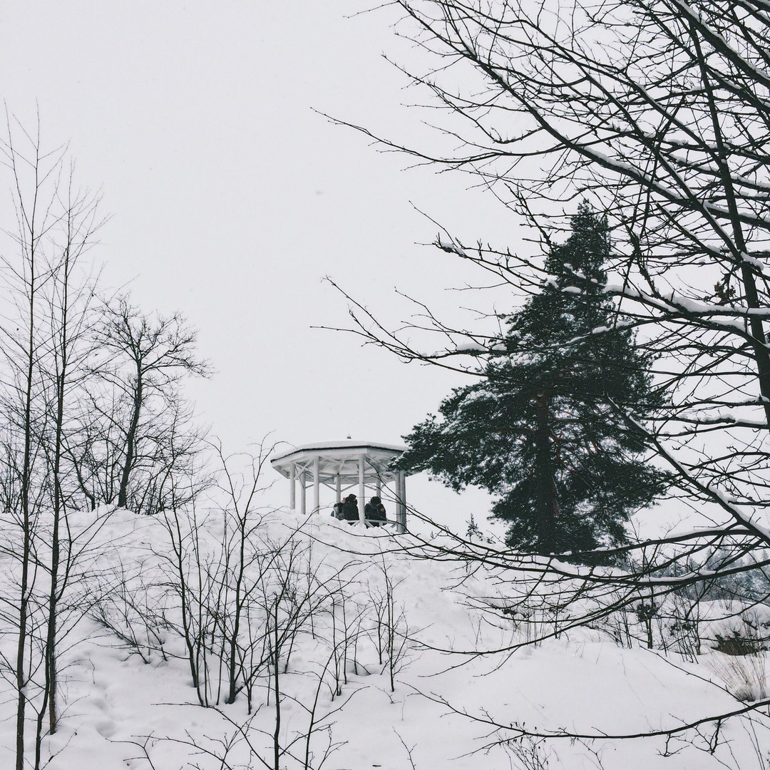 Snow-covered landscapes of Monrepos park - My, Photo, The photo, Nature, Winter, Snow, Russia, Longpost