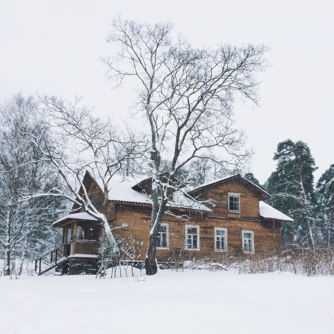 Snow-covered landscapes of Monrepos park - My, Photo, The photo, Nature, Winter, Snow, Russia, Longpost