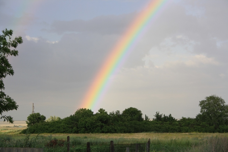 Rainbow - Rainbow, Photo