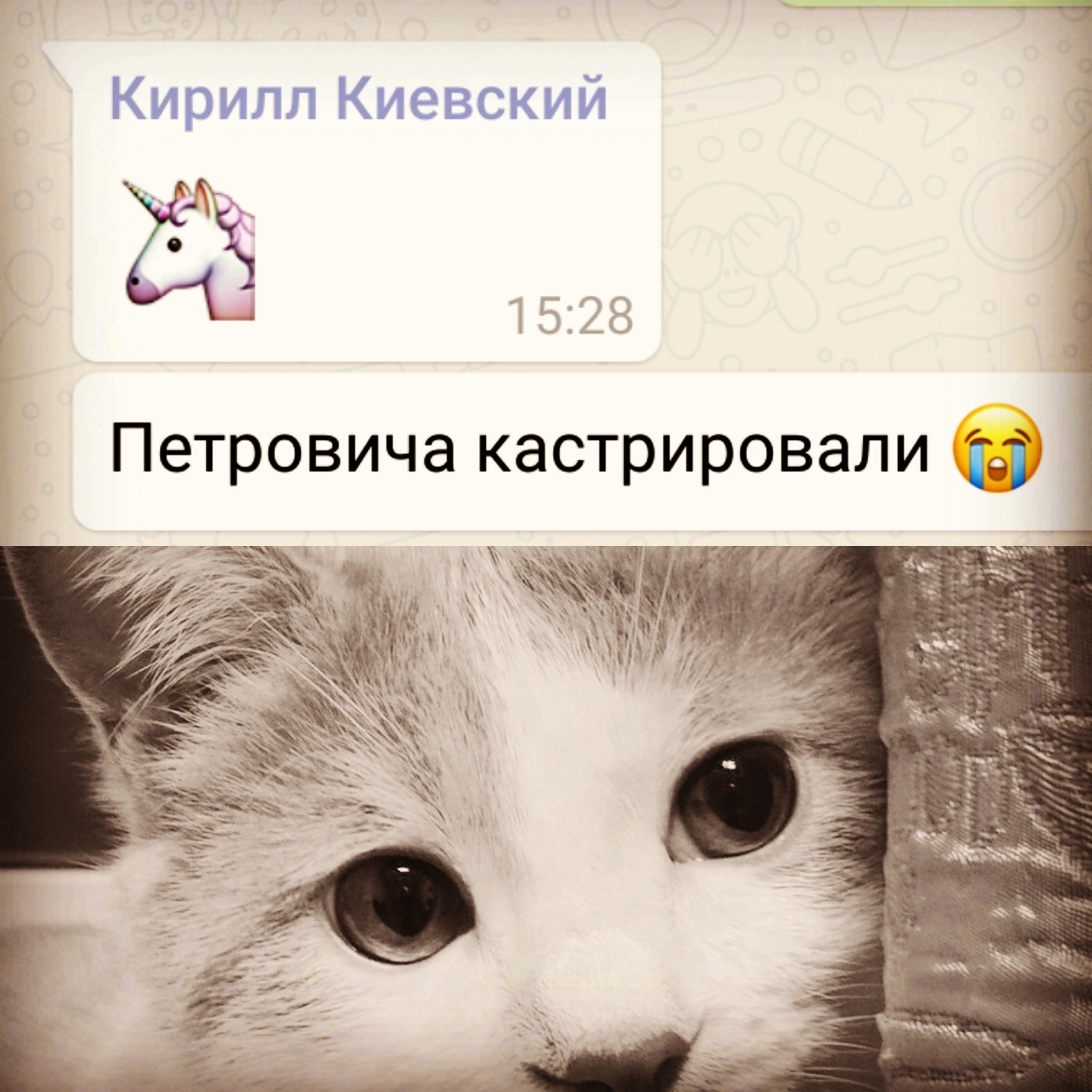 Hey Petrovich... - My, cat, Mum, Bells