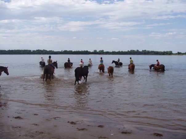 About horses and water - My, Horses, Horses, Bathing, Summer, Video, Longpost, Bathing