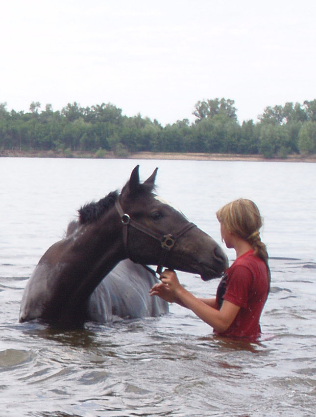 About horses and water - My, Horses, Horses, Bathing, Summer, Video, Longpost, Bathing