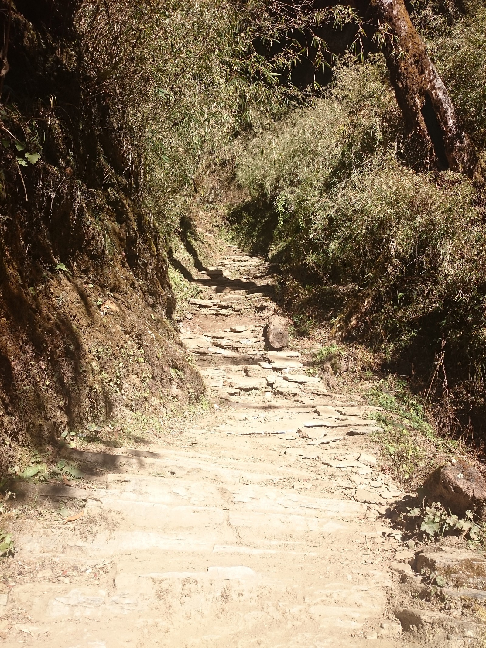 With a backpack around the world. Day 112-113. Nepal. The third and last day of the track, pain in the calves, tangerines and the finish line. - My, SrГјkzakompomiru, Travels, Longpost, Asia, Interesting, Nepal, Himalayas, The mountains