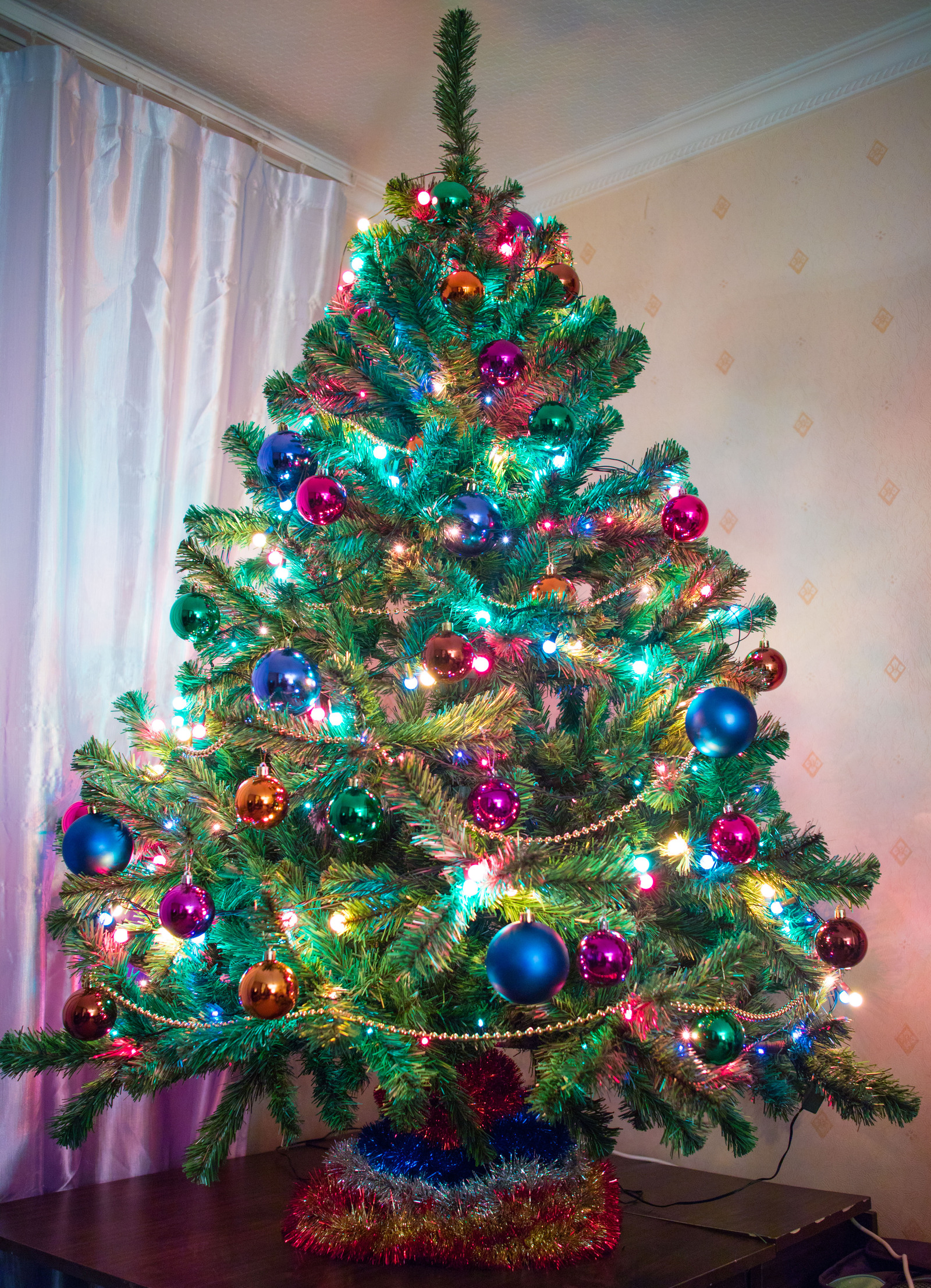 Still no tradition to lay out your Christmas trees? - Christmas trees, New Year