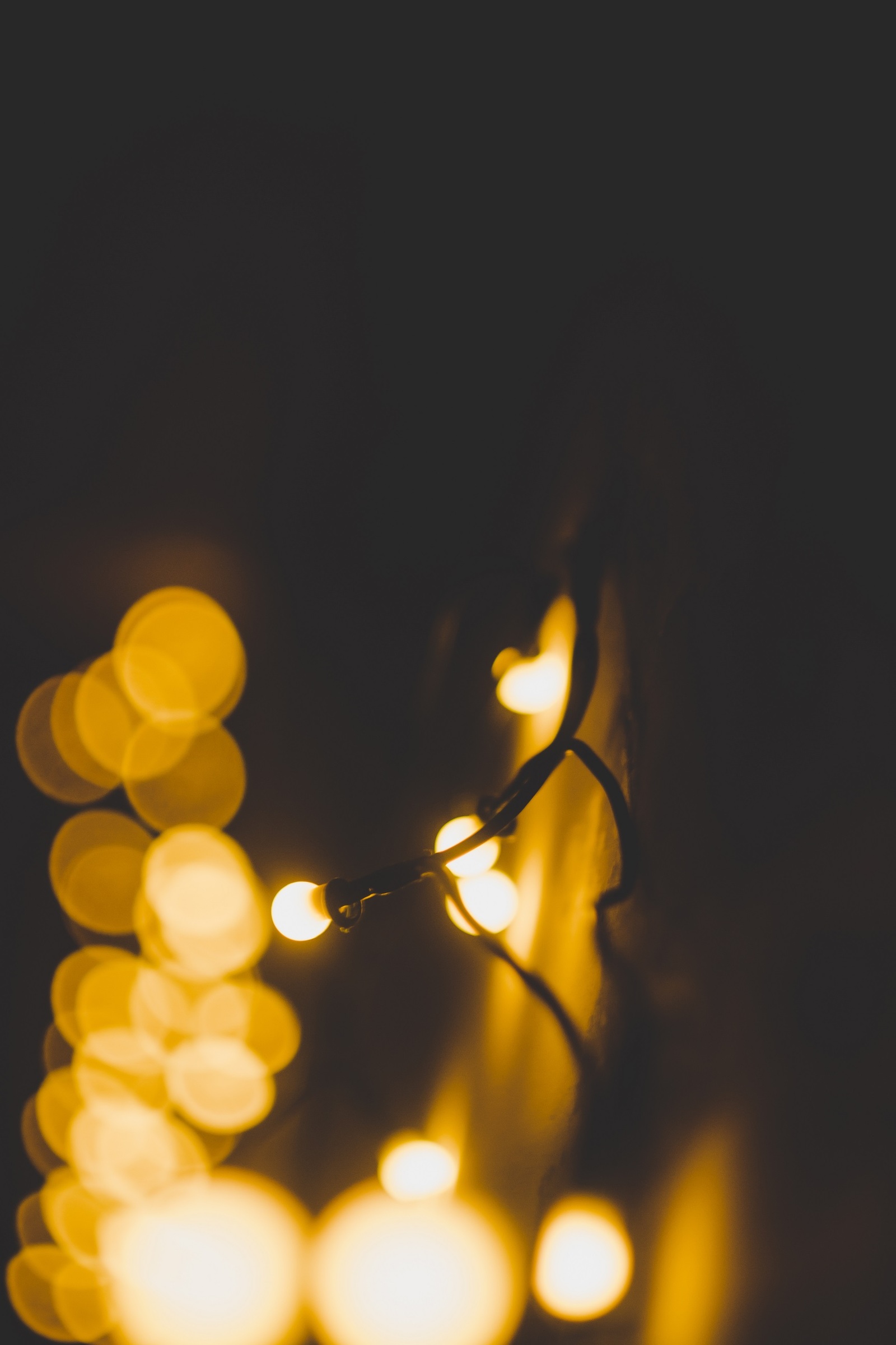 New Year's mood to you in the feed :) - My, Photo, New Year, Garland, Lights, Canon, Helios 44m, My, Helios 44m