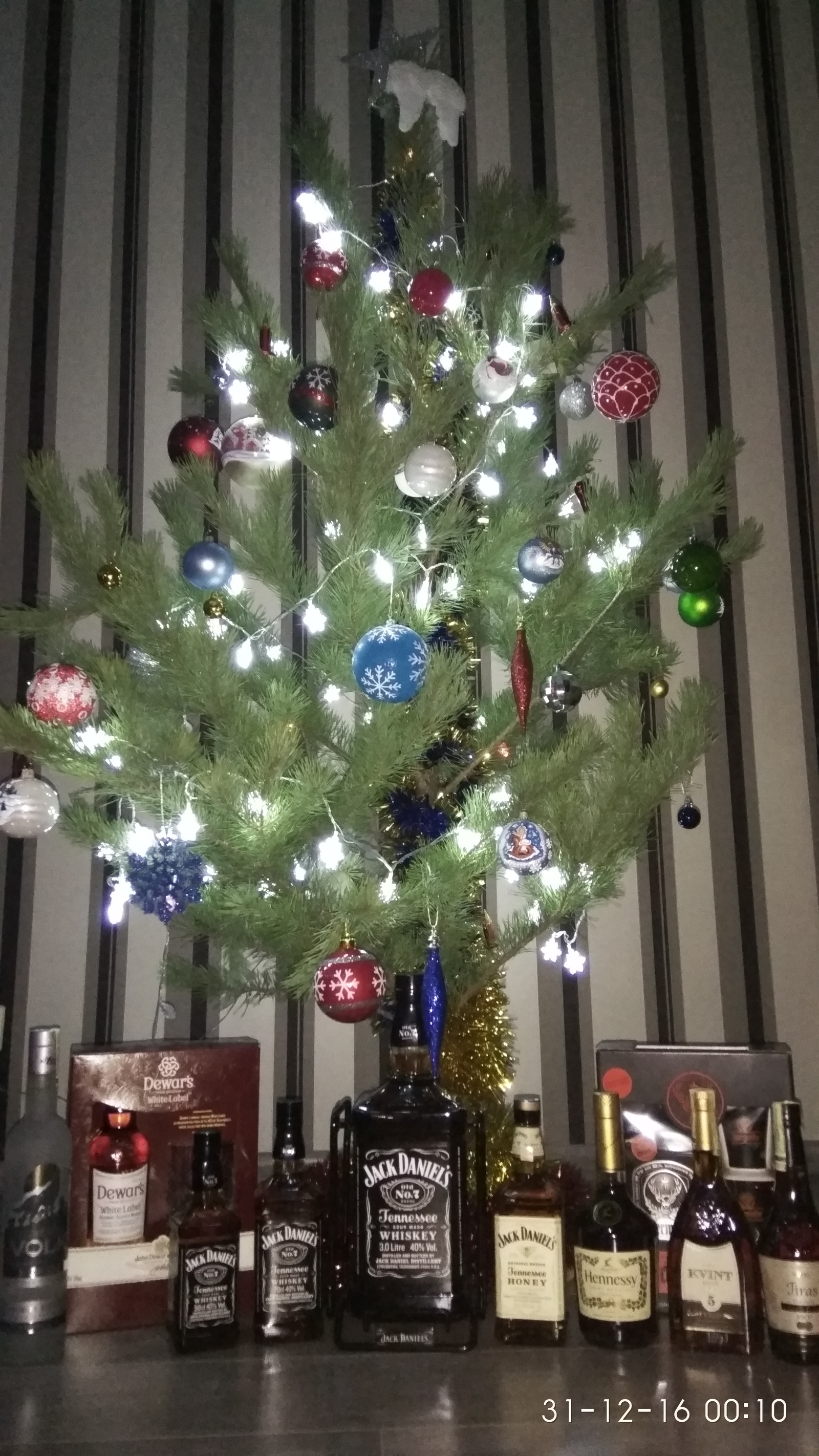 New Year. Do not disturb until January 9th. - My, New Year, Christmas tree, My