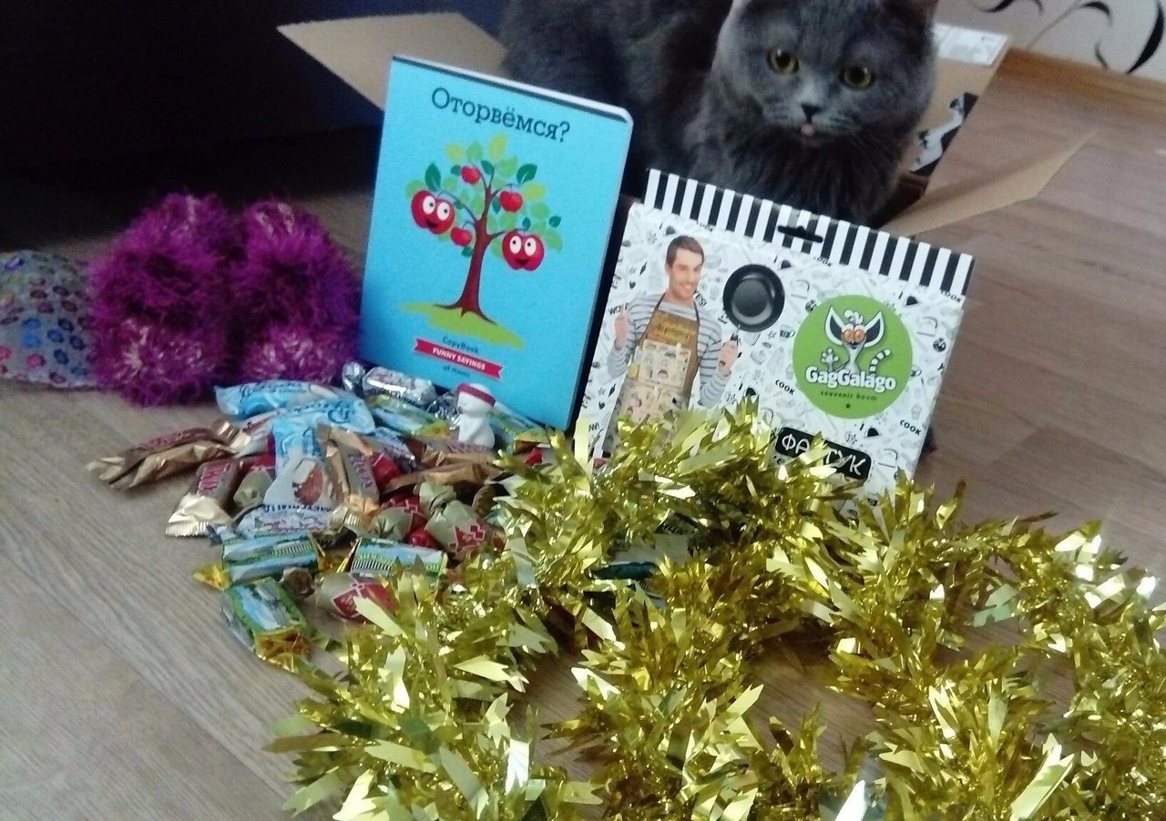 New Year's gift exchange ^^ - My, New Year's gift exchange, Presents, Novosibirsk, , , All good, Longpost, Secret Santa