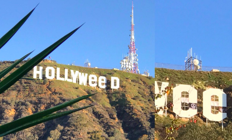 'Hollywood' sign in California hills changed to 'Hollyweed' - Hollywood, , Grass, Humor