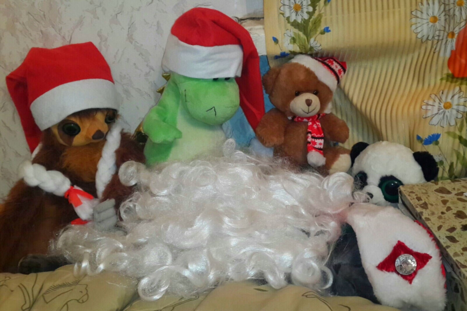 Santa Claus went to sleep - My, cat, Russia, New Year, Beard, Animals, Sloth, Bear, The Dragon, The Bears