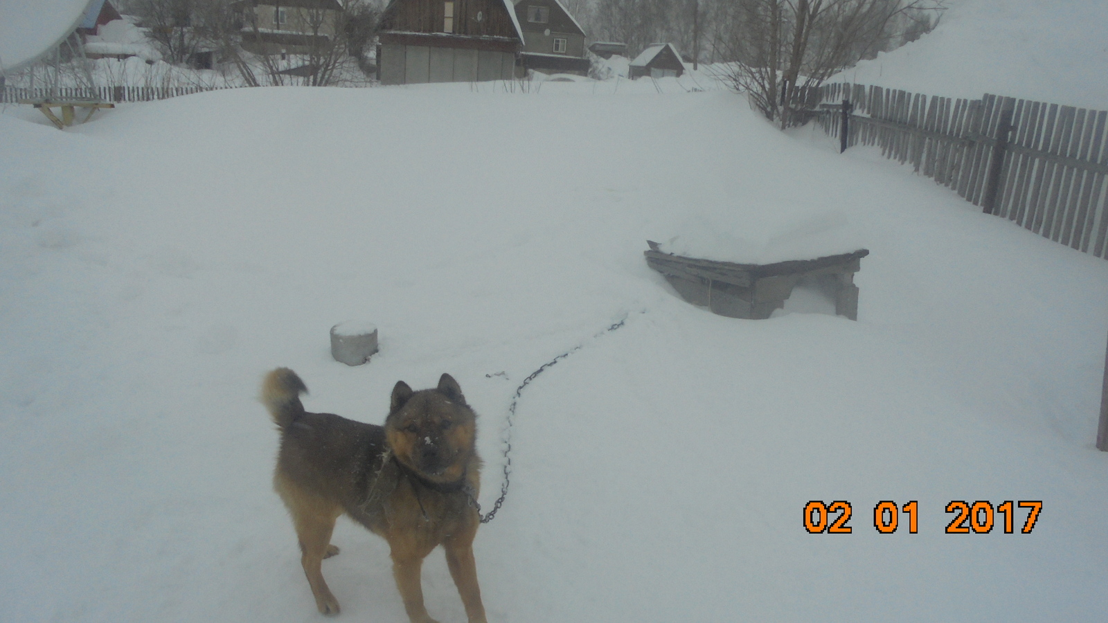 And again on the topic of snowdrifts. - My, Snow, Snowdrift