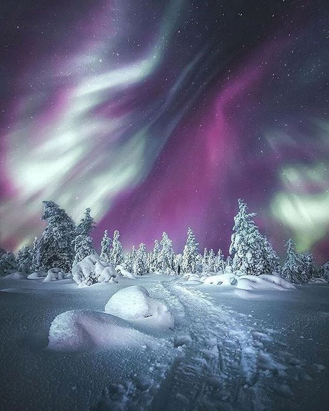 Polar Lights - Polar Lights, Photo, Nature, beauty