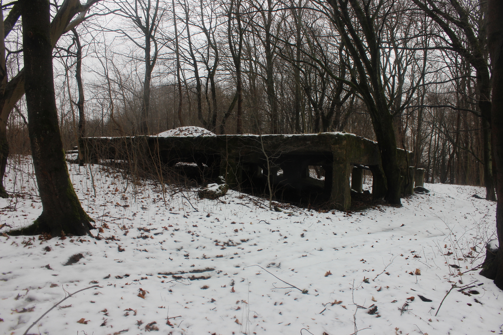 Fort No. 4 Gneisenau. - My, Fort, Kaliningrad, , , Longpost