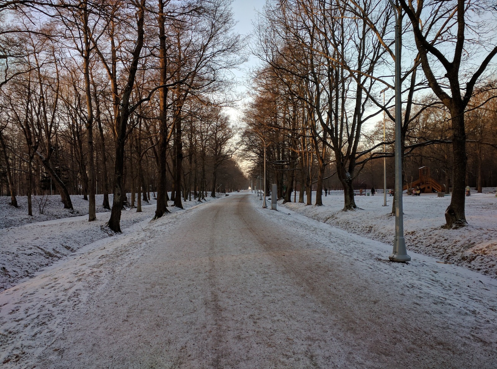 St. Petersburg frost - My, Saint Petersburg, Winter, Cold, Sea, The sun, Sestroretsk, Leningrad region, Longpost