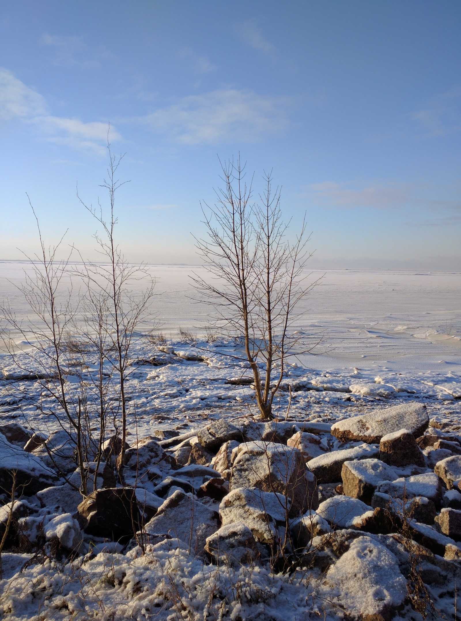 St. Petersburg frost - My, Saint Petersburg, Winter, Cold, Sea, The sun, Sestroretsk, Leningrad region, Longpost