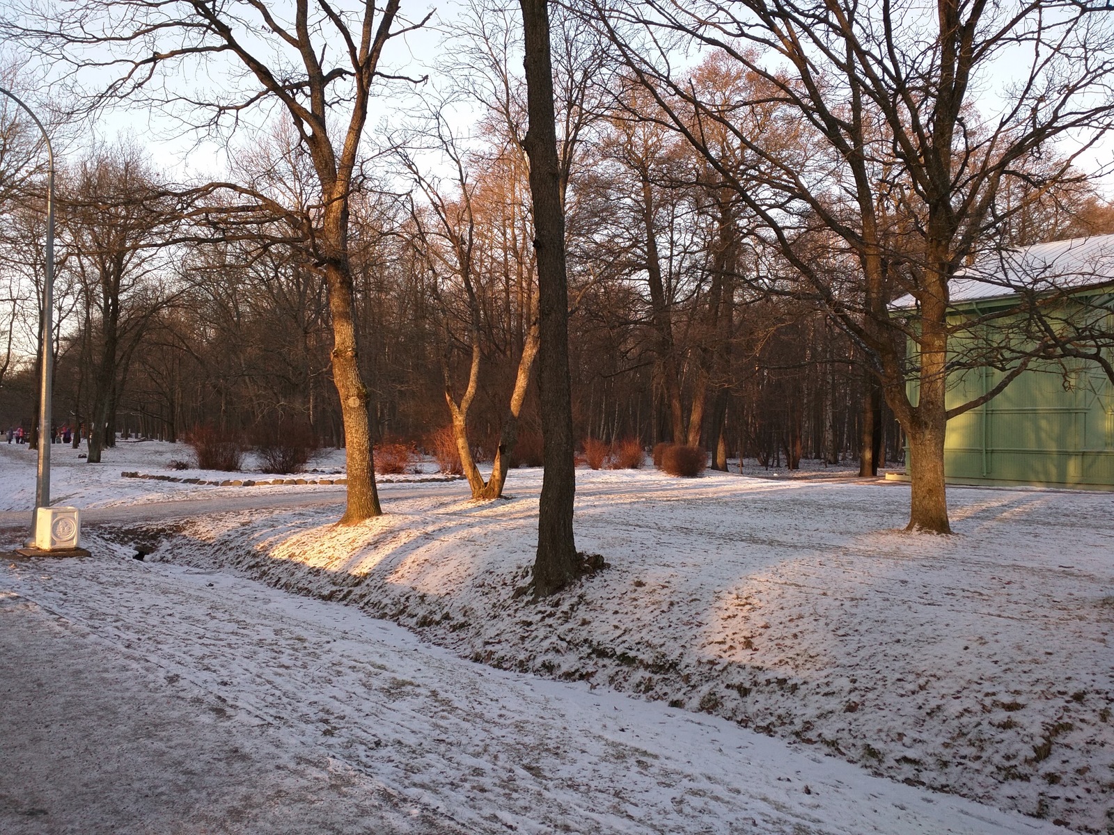 St. Petersburg frost - My, Saint Petersburg, Winter, Cold, Sea, The sun, Sestroretsk, Leningrad region, Longpost