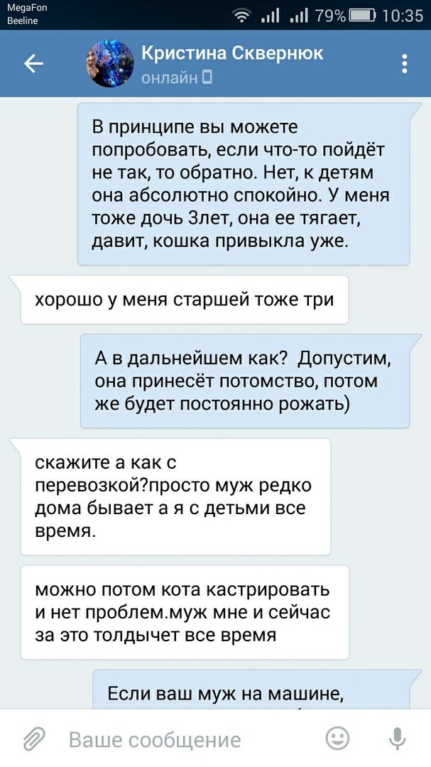 Прошу вас, никогда не отдавайте животных этой женщине. - Таганрог, Обе дуры, Кошку жалко, Длиннопост, Кот