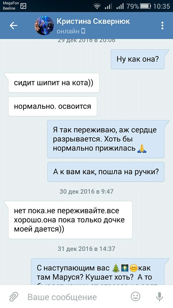 Прошу вас, никогда не отдавайте животных этой женщине. - Таганрог, Обе дуры, Кошку жалко, Длиннопост, Кот