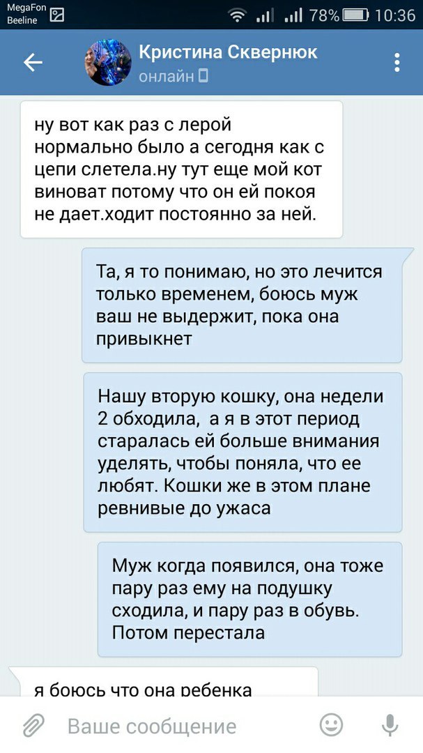 Прошу вас, никогда не отдавайте животных этой женщине. - Таганрог, Обе дуры, Кошку жалко, Длиннопост, Кот