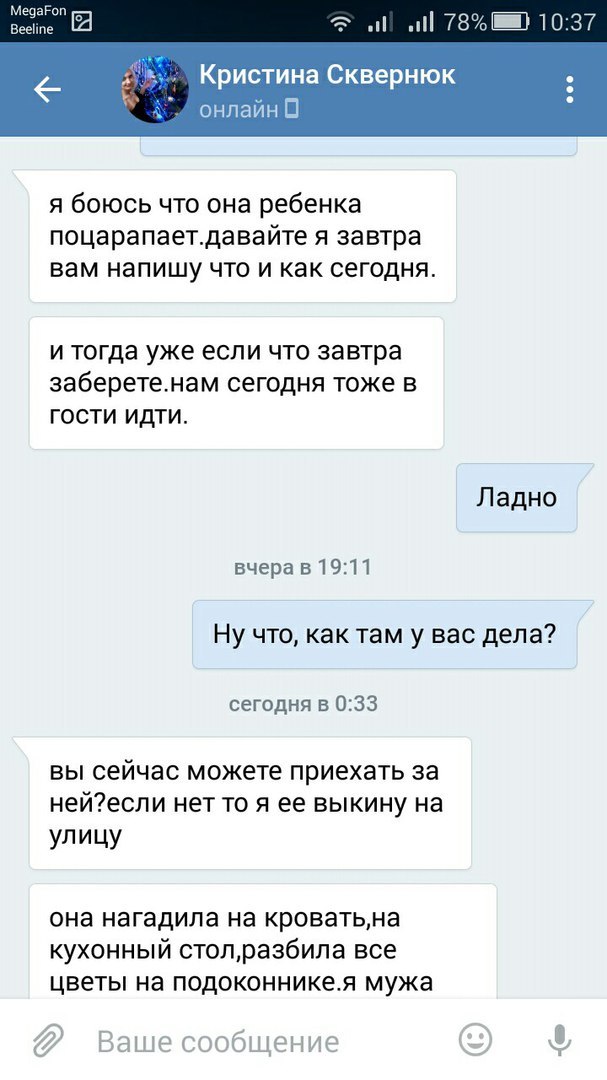 Прошу вас, никогда не отдавайте животных этой женщине. - Таганрог, Обе дуры, Кошку жалко, Длиннопост, Кот