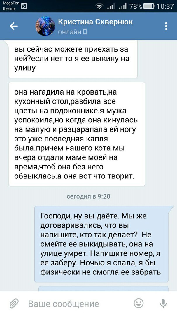 Прошу вас, никогда не отдавайте животных этой женщине. - Таганрог, Обе дуры, Кошку жалко, Длиннопост, Кот