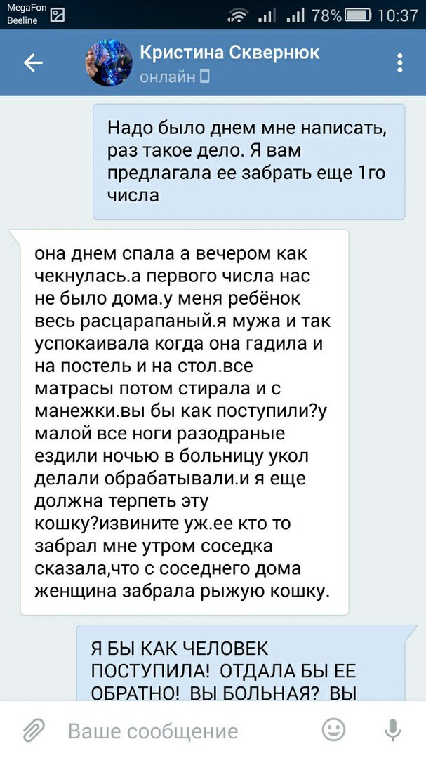 Прошу вас, никогда не отдавайте животных этой женщине. - Таганрог, Обе дуры, Кошку жалко, Длиннопост, Кот