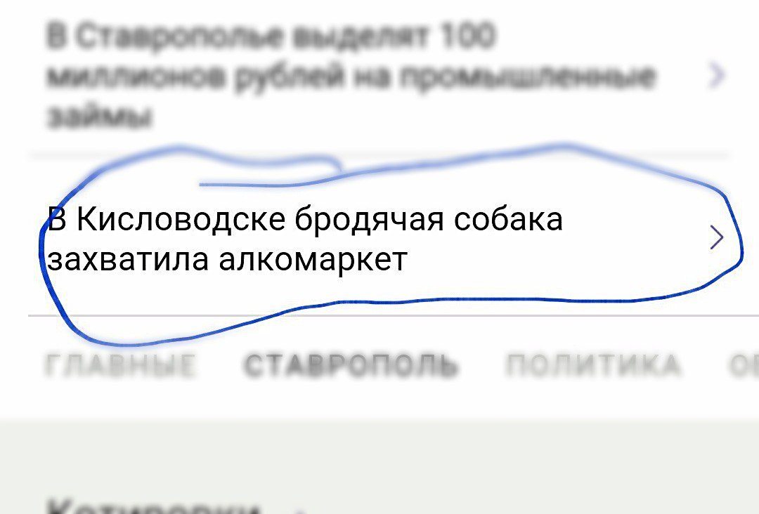 Когда пошло что-то не так - Россия, Ставропольский край, Кисловодск, Собака, Животные