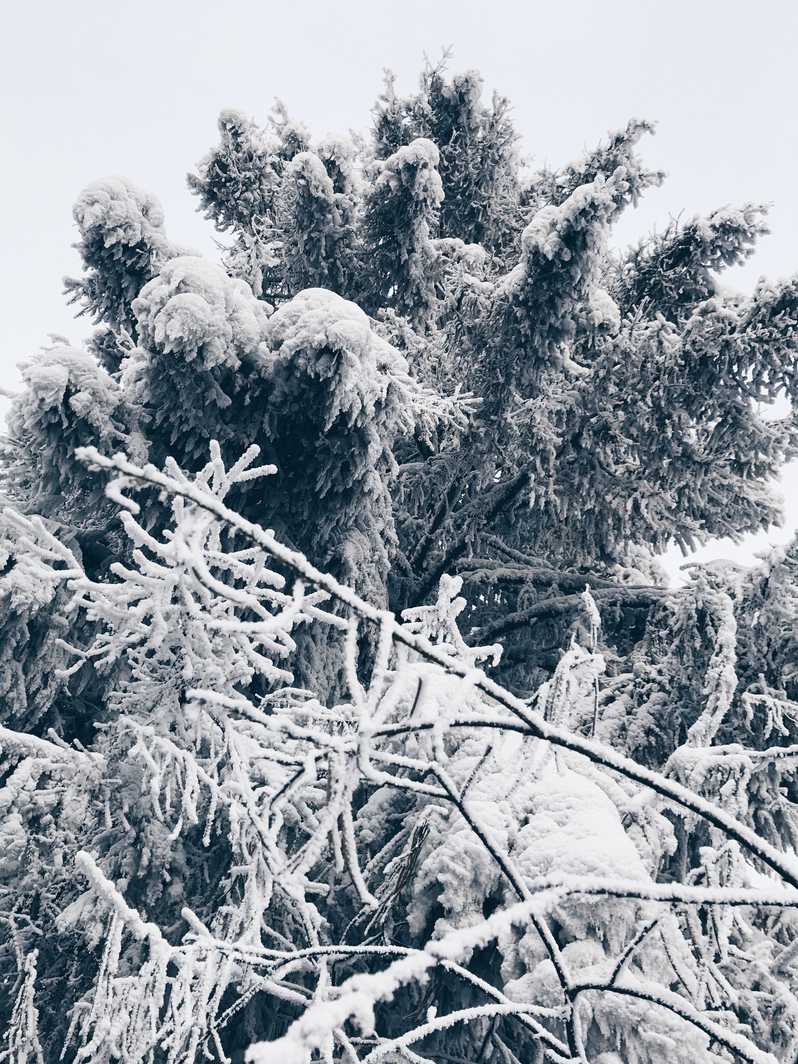 Greetings from the city of Neryungri!!! (The Republic of Sakha (Yakutia)) - My, Yakutia, Neryungri, Winter, New Year, Father Frost, beauty, Longpost