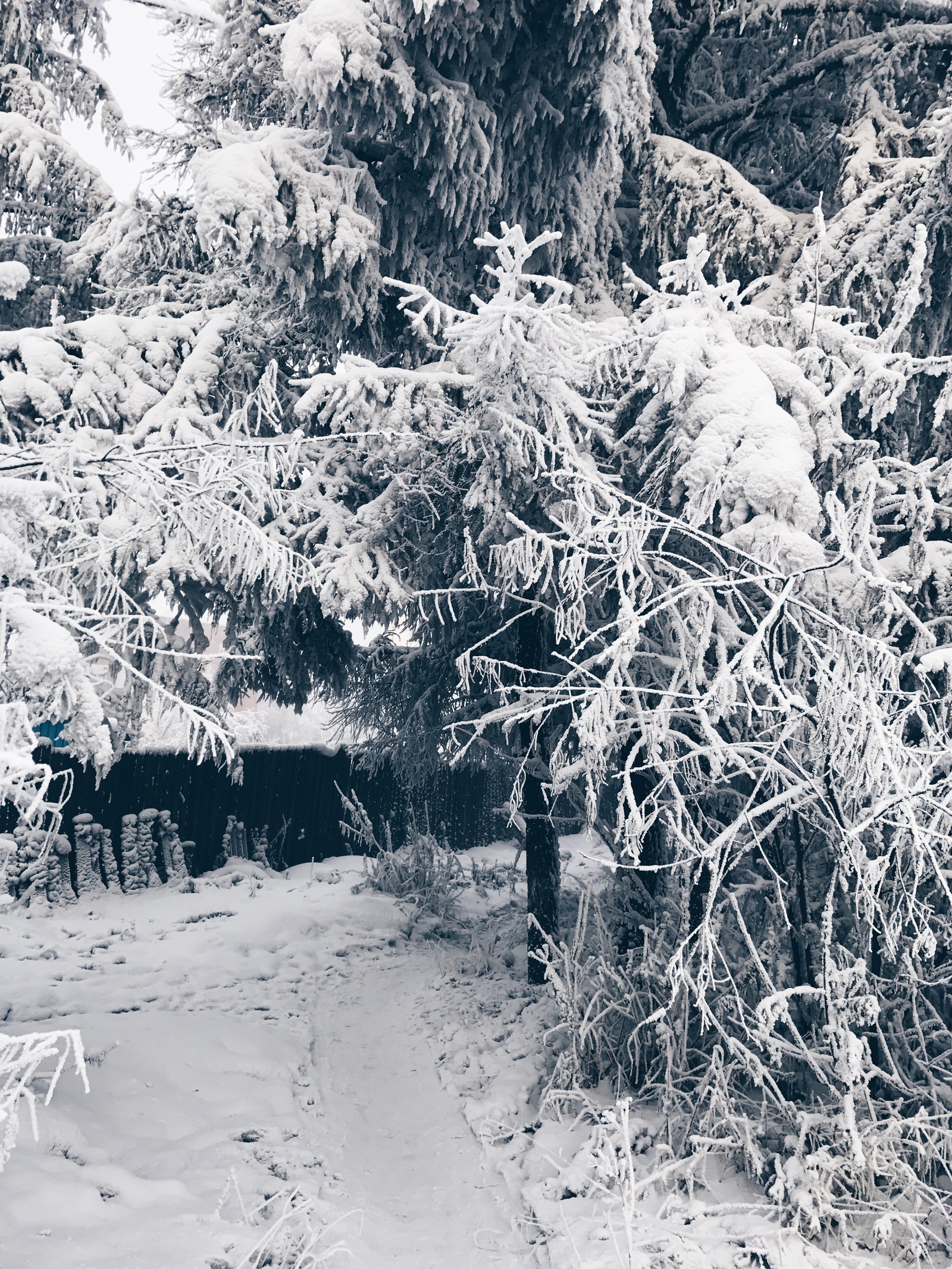 Greetings from the city of Neryungri!!! (The Republic of Sakha (Yakutia)) - My, Yakutia, Neryungri, Winter, New Year, Father Frost, beauty, Longpost