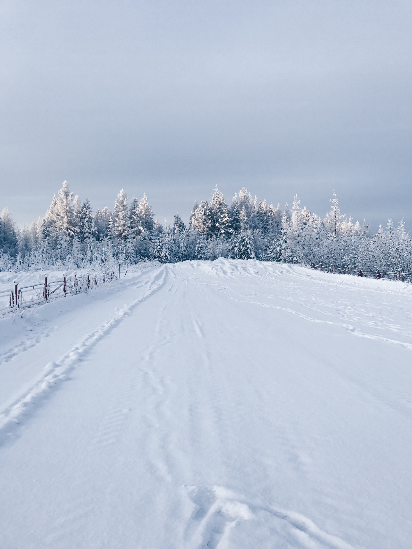 Greetings from the city of Neryungri!!! (The Republic of Sakha (Yakutia)) - My, Yakutia, Neryungri, Winter, New Year, Father Frost, beauty, Longpost