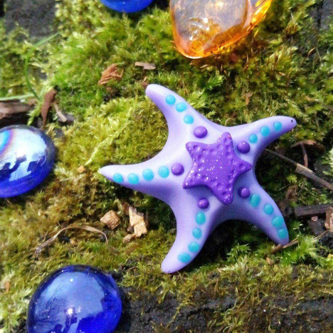 Modeling - relaxation or my first steps in working with polymer clay. - My, Polymer clay, Owl, Star, Brooch, Needlework, Hobby, With your own hands, Starfish, Longpost