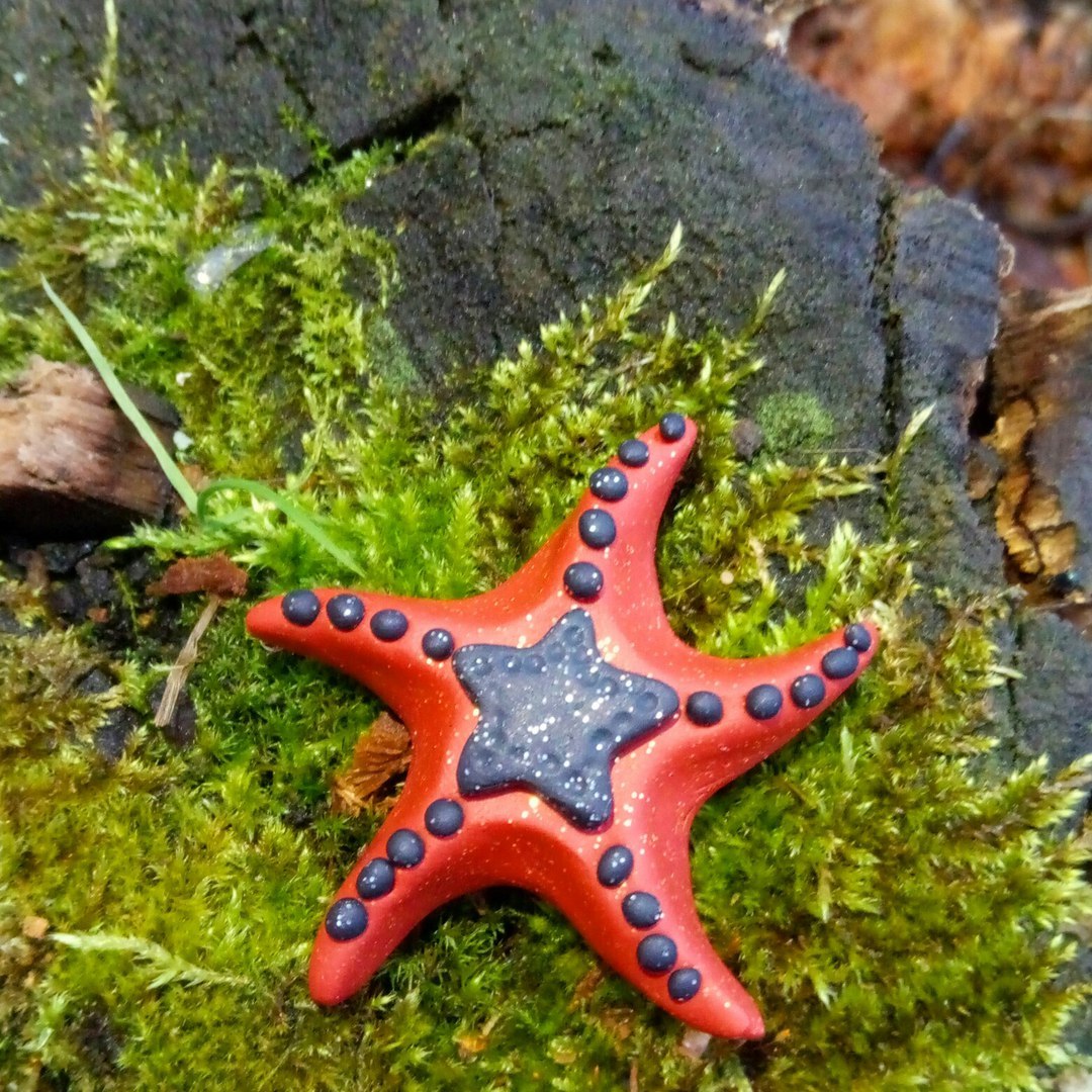 Modeling - relaxation or my first steps in working with polymer clay. - My, Polymer clay, Owl, Star, Brooch, Needlework, Hobby, With your own hands, Starfish, Longpost