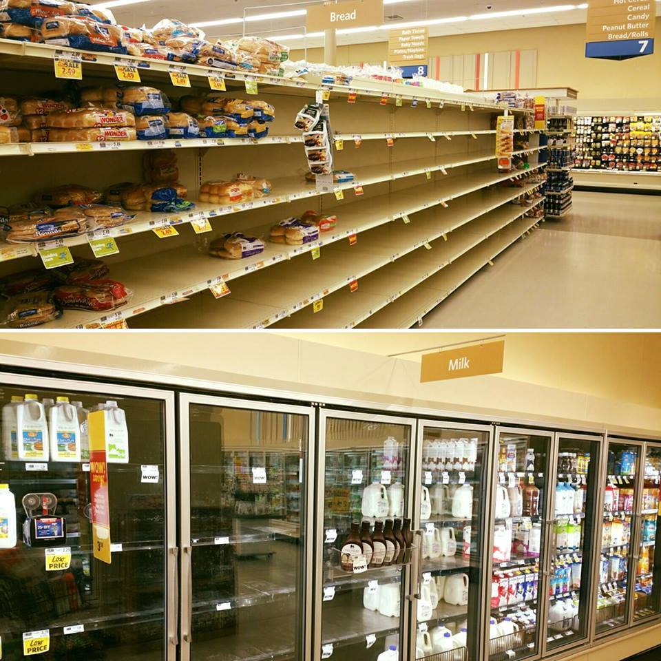 Snowy Armageddon in North Carolina - My, Snow, Winter, A shelf, USA, America, Apocalypse