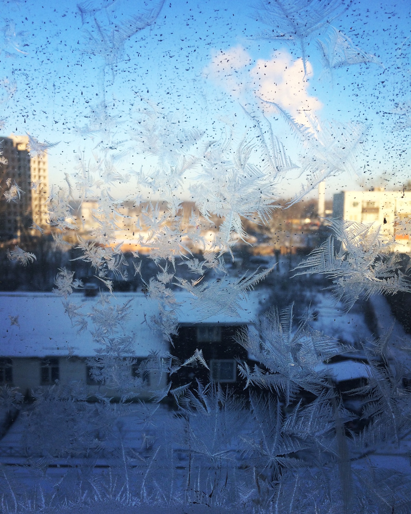 Zimushka-winter - My, Winter, Patterns on the window, Sky, Saint Petersburg