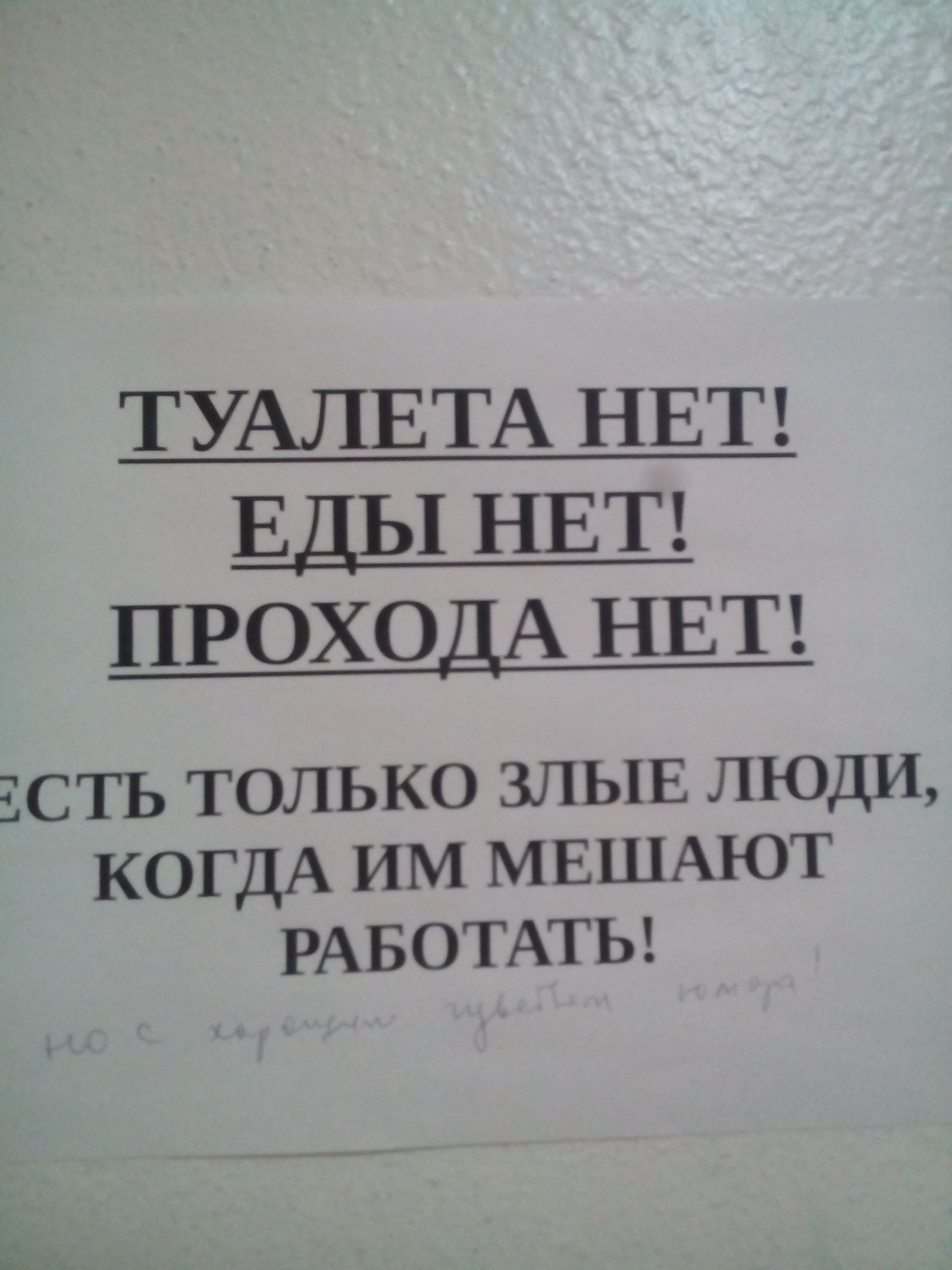 When you're tired of asking questions - My, Toilet, No food