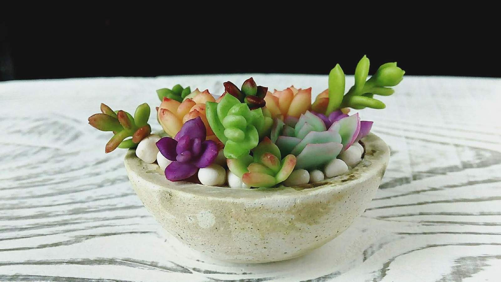 Succulents from polymer clay. - My, Polymer clay, Cold porcelain, Needlework, Creation, Handmade, Decoration, Flowers, Plants, Longpost