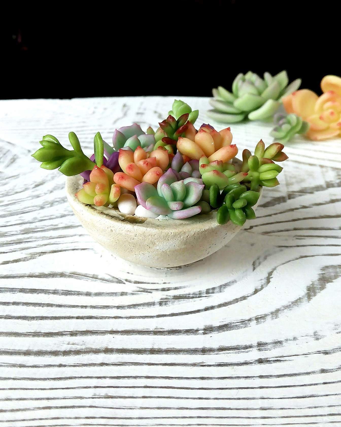 Succulents from polymer clay. - My, Polymer clay, Cold porcelain, Needlework, Creation, Handmade, Decoration, Flowers, Plants, Longpost