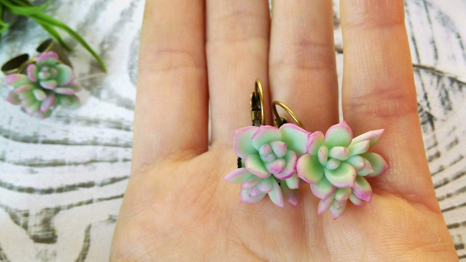 Succulents from polymer clay. - My, Polymer clay, Cold porcelain, Needlework, Creation, Handmade, Decoration, Flowers, Plants, Longpost