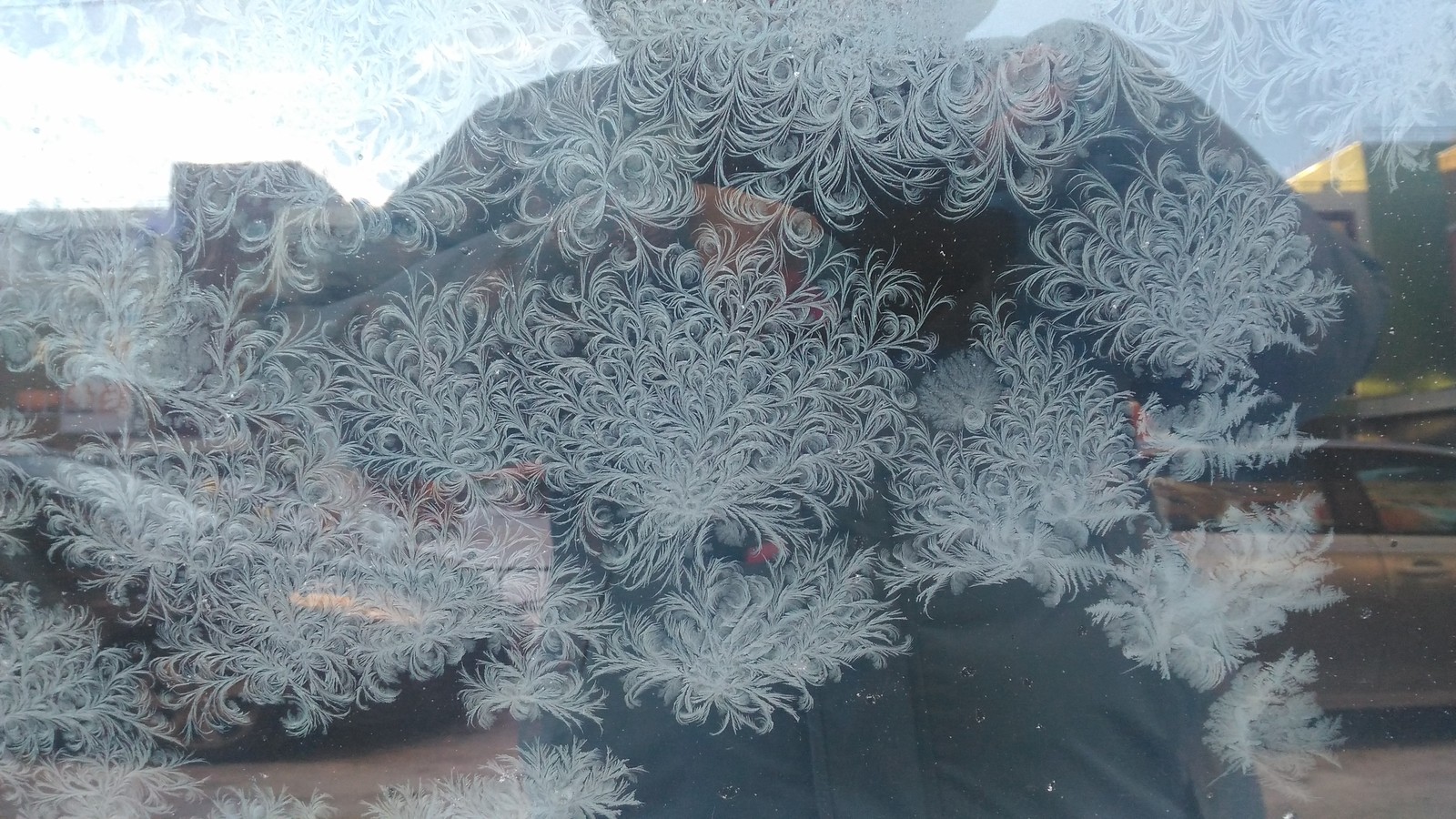 Frost draws - My, freezing, Painting on glass, Winter, beauty, Art, Incredible, Longpost