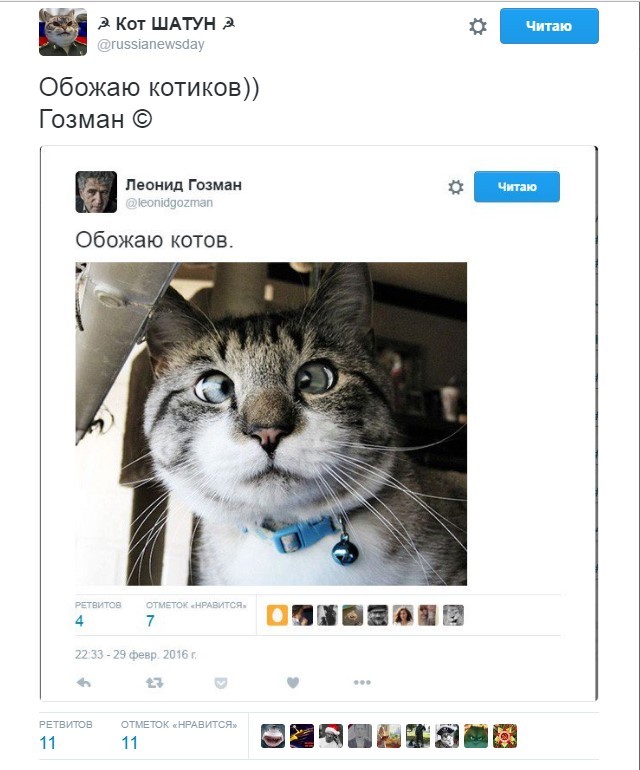 Kittens and Gozman - Leonid Gozman, Twitter, cat