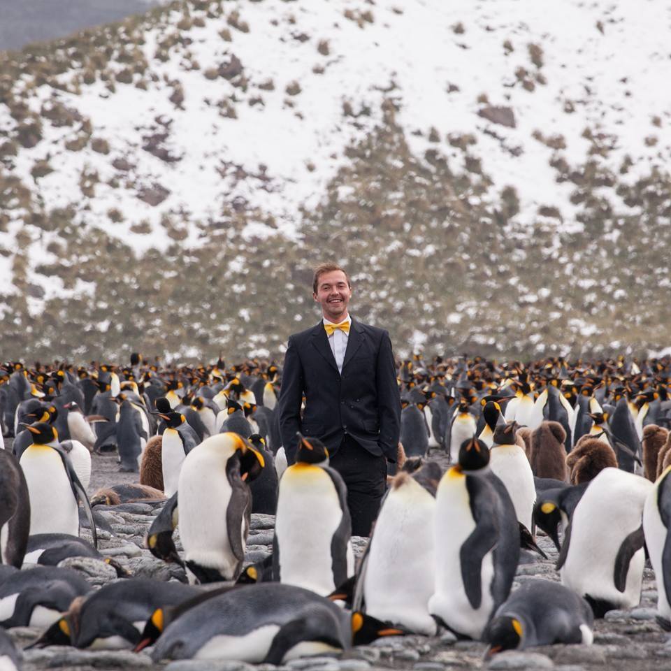 Fit perfectly - Penguins, Costume, Snow, Photo