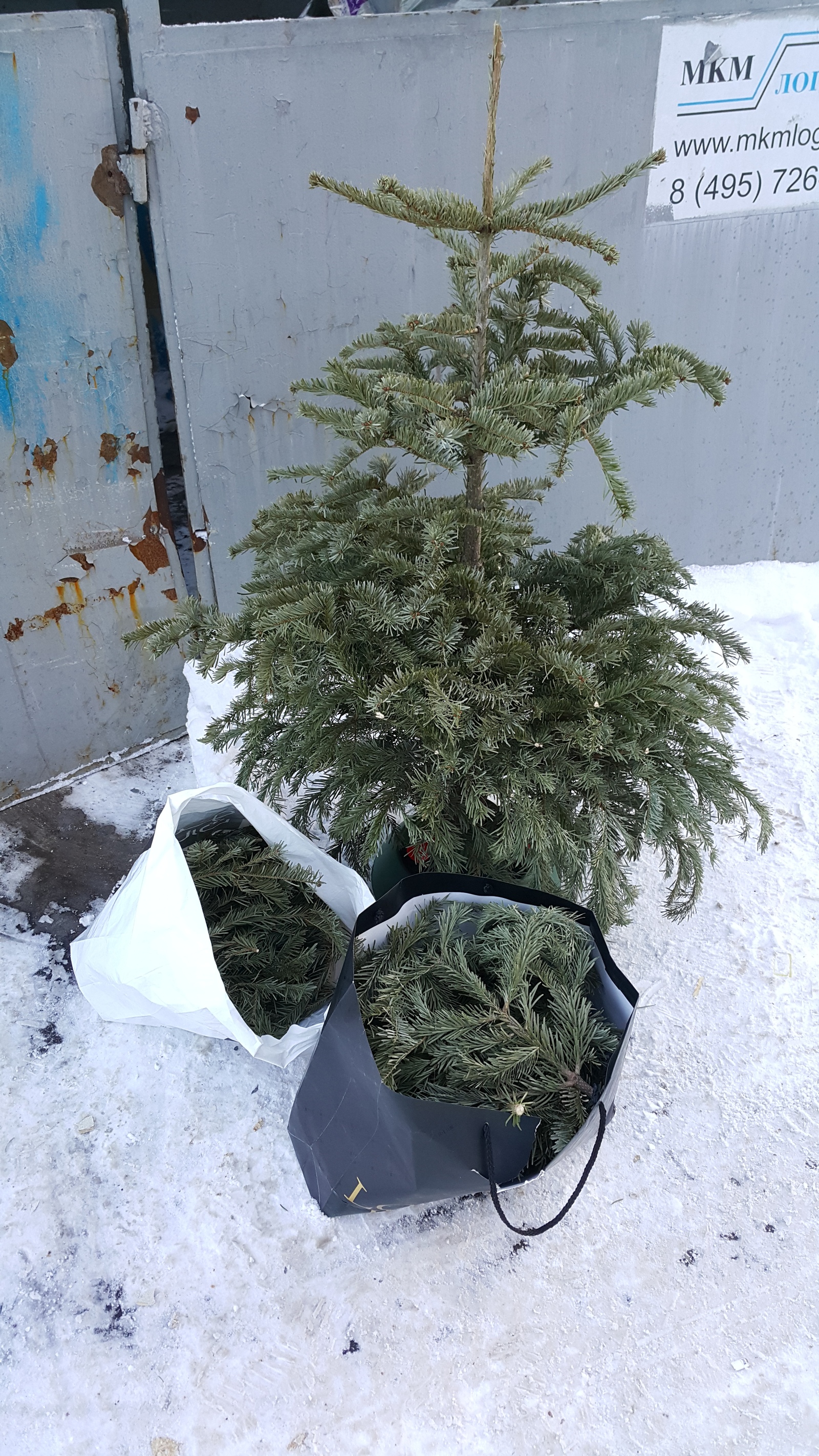 Откуда Пошел Новый Год Откуда Пошел Новый Год