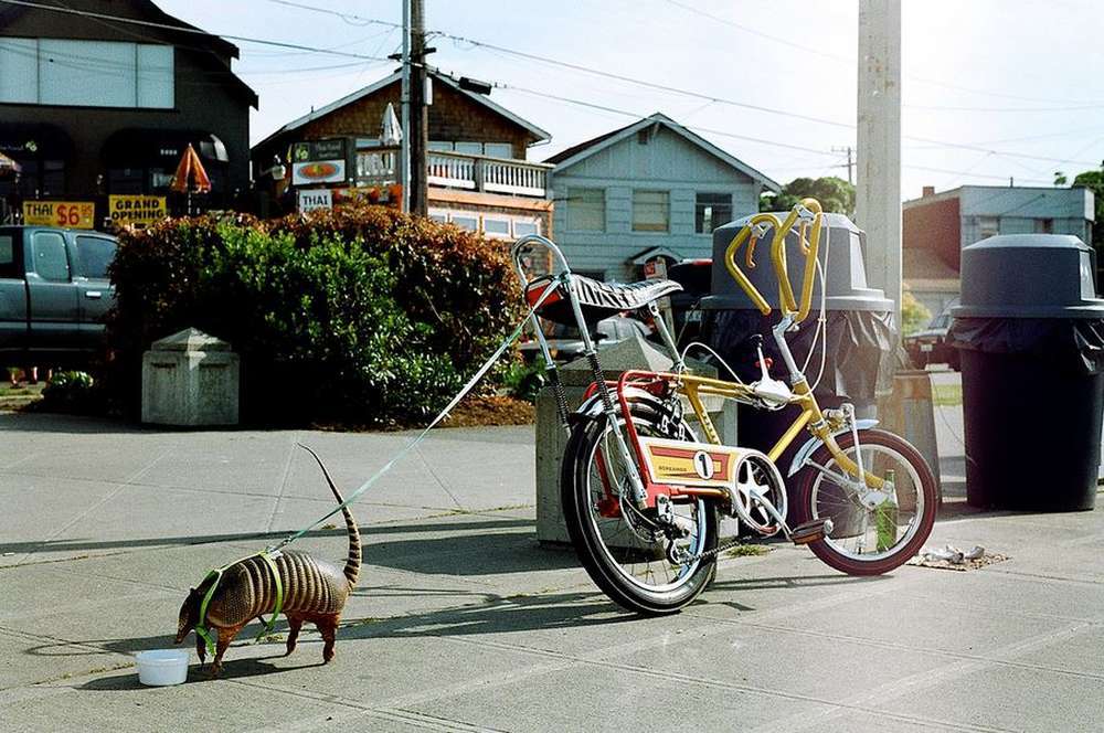 An armadillo you can trust with your bike - Battleship, A bike