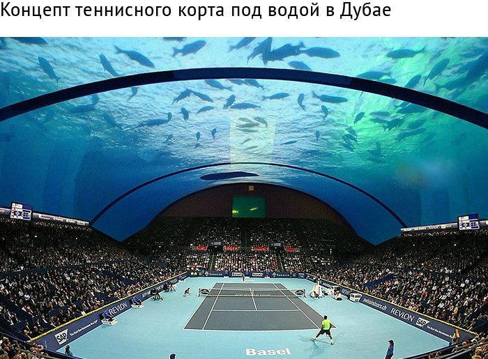 awesome court - Tennis, Tennis court, Sport