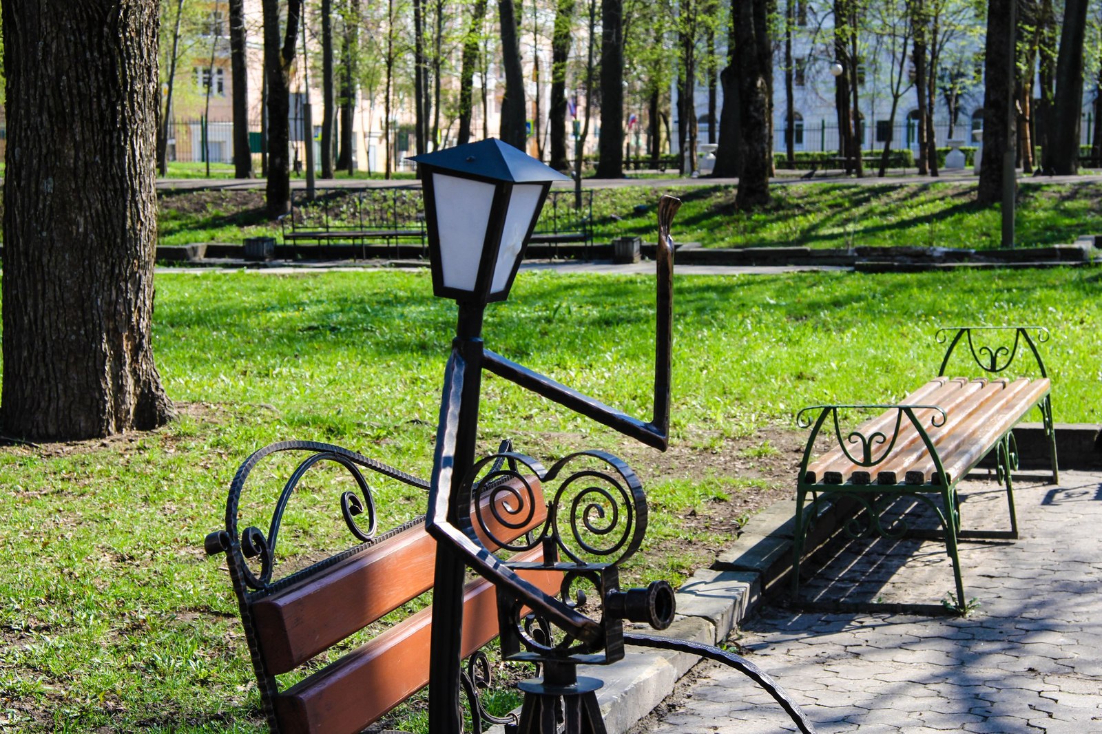 Смоленск парк фонари