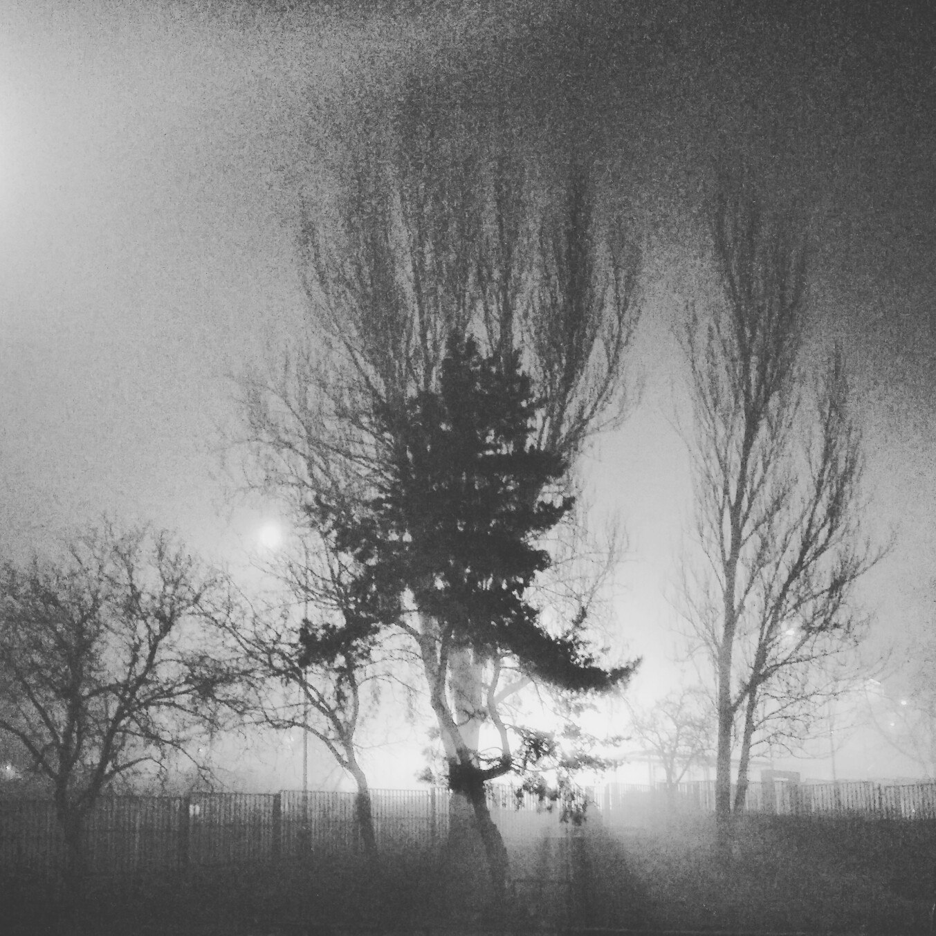 Unexpectedly successful photo in the fog - My, Fog, Silent Hill, Evening, Magic