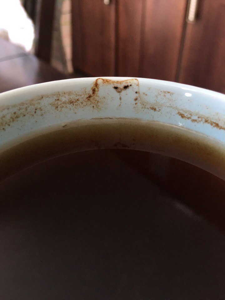 Simon's cat formed in morning coffee - My, Coffee, Morning