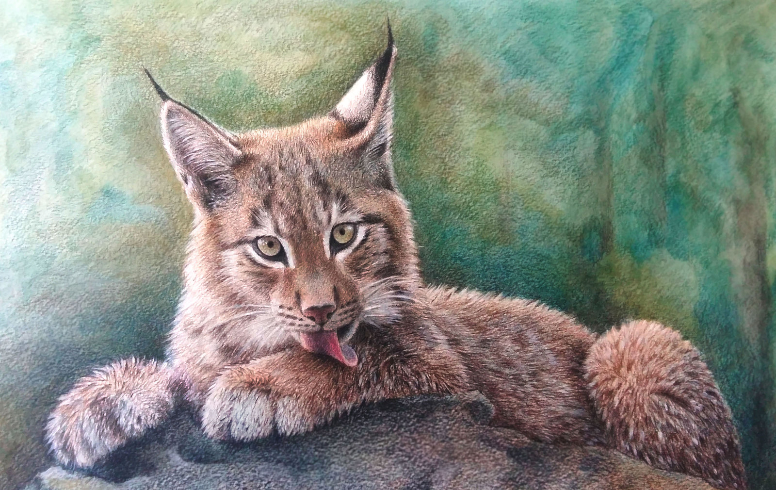 Lynx - My, Lynx, Wild, cat, Art, Pencil, Watercolor